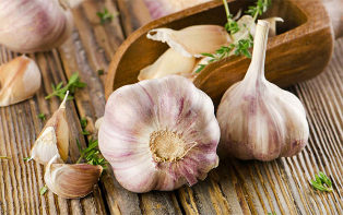 how useful garlic
