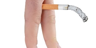 Influence of Smoking on the reproductive organs
