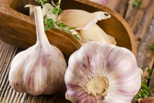 On the Basis of garlic